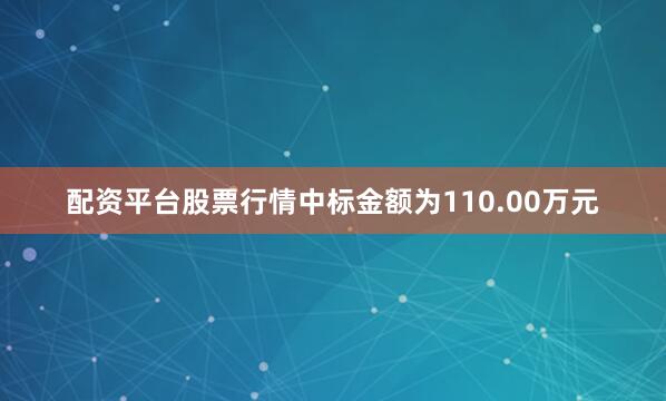 配资平台股票行情中标金额为110.00万元
