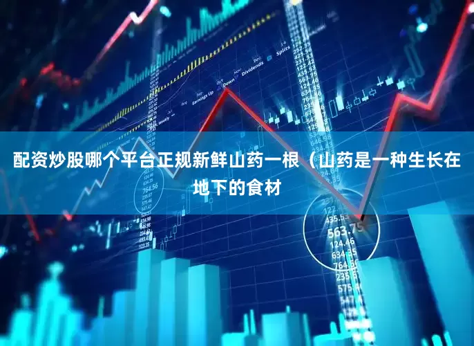 配资炒股哪个平台正规新鲜山药一根（山药是一种生长在地下的食材