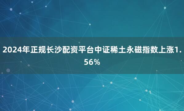 2024年正规长沙配资平台中证稀土永磁指数上涨1.56%